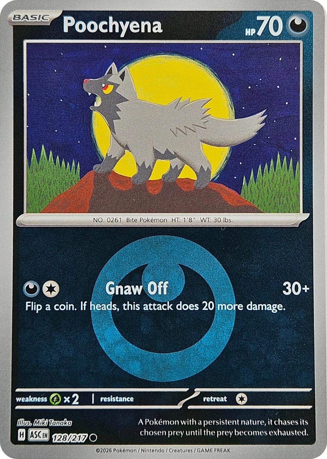 Poochyena (Energy Symbol Pattern)