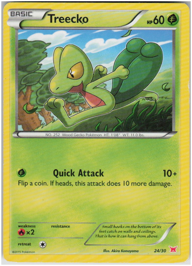 Treecko (#24)